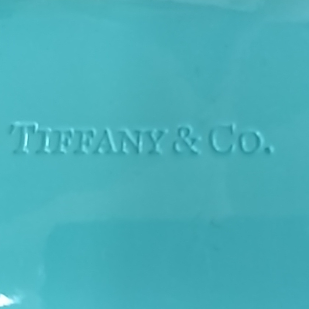 Tiffany & co plastic eyeglass case
